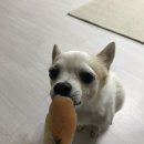 페로테이블