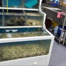 탱크조개&짬뽕 이미지