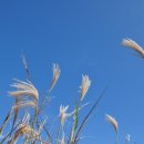 아쿠아펜션 이미지