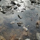 땅벗 공인중개사사무소 이미지