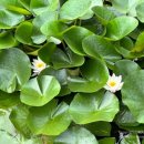 대평1구 이미지