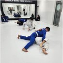 검단사거리주짓수, 검단 그레이시바하에서 배우는 주짓수 체험기