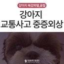 이한메디칼 이미지