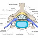 동탄맑은샘한의원 이미지
