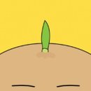 감자마을 이미지