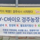 친환경돼지식육식당 이미지