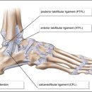 힘찬세상경희한의원 이미지
