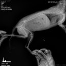 알로하 동물병원 이미지