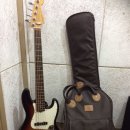 모노덴트 이미지