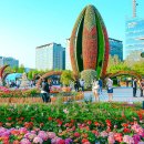 네비마켓 광양점 | [봄꽃 여행⑦] “여긴 진짜 유럽 느낌 난다” 2025 고양국제꽃박람회 인생샷 명소부터 할인팁까지