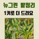 뉴그린 이미지