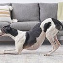 용산-340 이미지