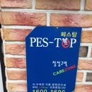 페스탑
