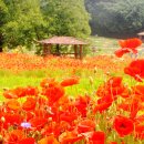 탑동농장 이미지