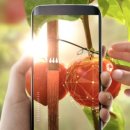 케이에스팜 이미지