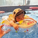 미니디럭스키즈풀빌라 | 내돈내숙 | 부산 대가족 키즈 풀빌라 [도안 풀빌라&amp;키즈호텔] 키즈 시즈니처 풀 &amp; 키즈 디럭스 풀 후기