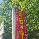 숲앤휴 | 수락휴 노원구 자연휴양림 방문후기 ft. 광클 성공
