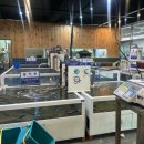 어시장활어회직거래판매장 이미지