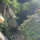 큰손 오리농장 이미지