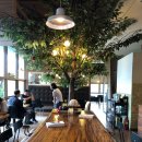 뜨레비앙 이미지