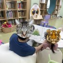 대전(동) | 동대전도서관 실제방문 후기(주차) 및 도서관음악회 개최 안내