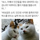 도트 - 당진시 무수동로 152 | 도트