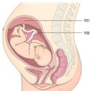 신비의료기 이미지