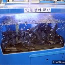 장어랑한우랑 이미지