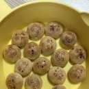 강호주유소 이미지