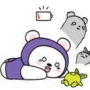 SKY태권도장 이미지