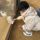 연우목장 네이버블로그