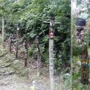 장승나라 소도 이미지