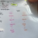 260626 서울국제도서전 3일차 금요일 오픈런 책보다 사람이 많은 서국도 후기
