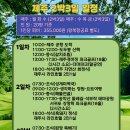 오케이글로벌여행사