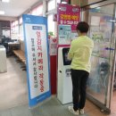 시스템방역
