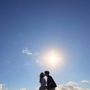 6047 | 허니문리조트 박람회 하와이 몰디브 신혼여행 계약 후기 (+할인코드)