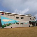 대이작_해양생태관 네이버블로그