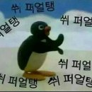 슈발 이미지
