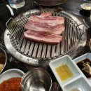 통통돼지 이미지