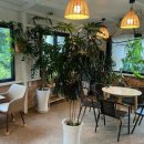 완도LOWA | [전남 완도 여행] 2025년 여름휴가 #완도치유페스타