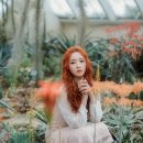 소정