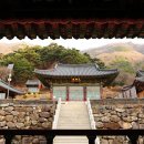 시조마을 이미지