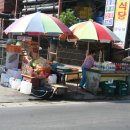 솔밭가는길 이미지