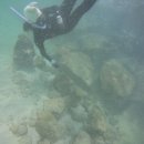 노고록이 이미지