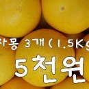 과일애 이미지
