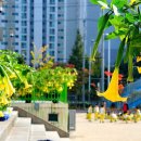 명진초등학교 이미지