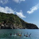 UR(제주시)-[용고로]-상-15 | 2022 정산일기 # 6월 울릉도 프리다이빙 투어 / 제주 해녀배 핀수영 대회 / UR 프리다이버 대회 준비