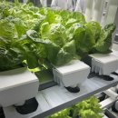 연암농장2 이미지