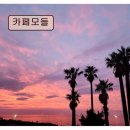 공감공간 | *애월 카페 추천* 카페모들 제주 바다 한눈에 담긴 휴식 공간