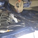 자동차사랑 이미지